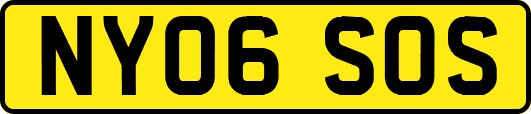 NY06SOS