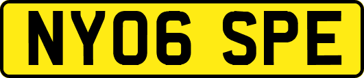NY06SPE