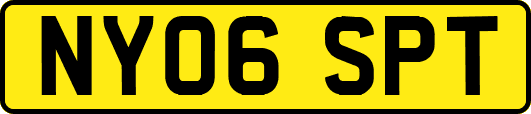 NY06SPT