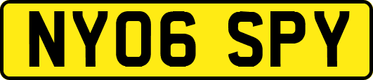 NY06SPY