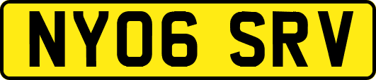 NY06SRV
