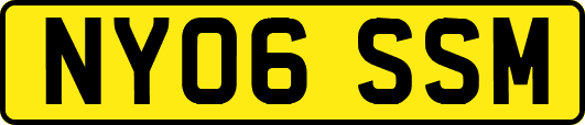NY06SSM