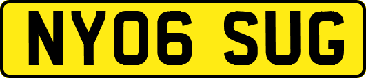 NY06SUG