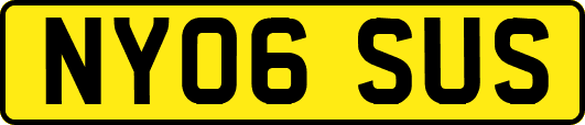 NY06SUS