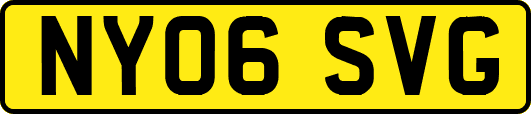 NY06SVG