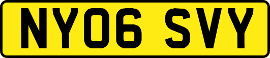 NY06SVY