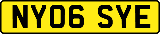 NY06SYE