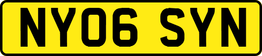 NY06SYN