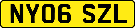 NY06SZL