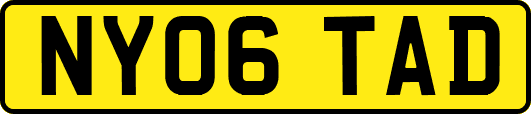 NY06TAD
