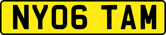 NY06TAM