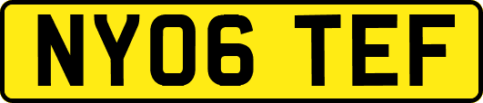 NY06TEF