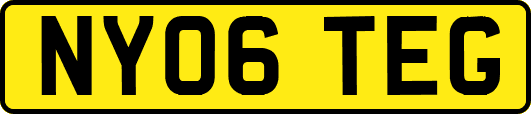 NY06TEG