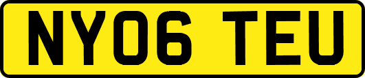 NY06TEU