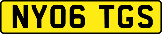 NY06TGS