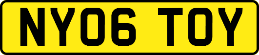 NY06TOY