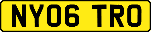 NY06TRO