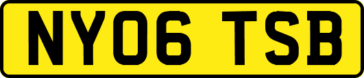NY06TSB