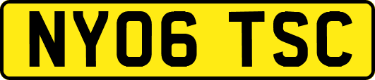 NY06TSC