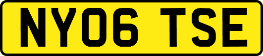 NY06TSE