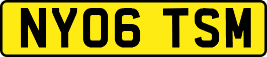 NY06TSM