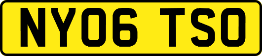 NY06TSO