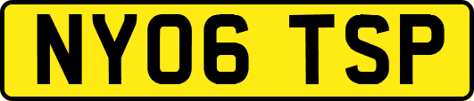 NY06TSP