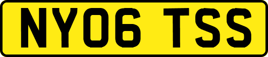 NY06TSS
