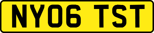 NY06TST