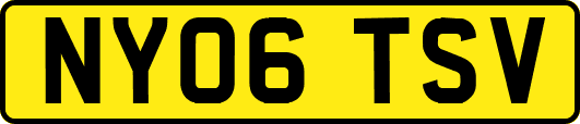 NY06TSV
