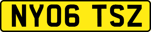 NY06TSZ