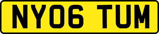 NY06TUM