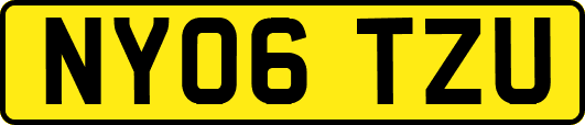 NY06TZU
