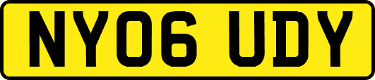 NY06UDY