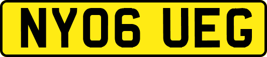 NY06UEG