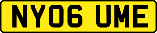 NY06UME