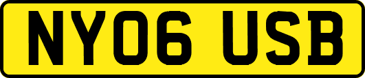 NY06USB