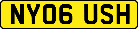 NY06USH