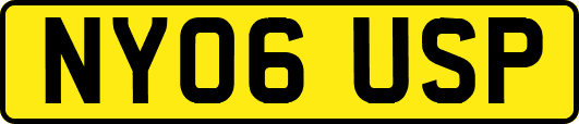 NY06USP