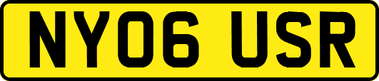 NY06USR