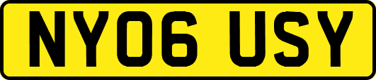 NY06USY