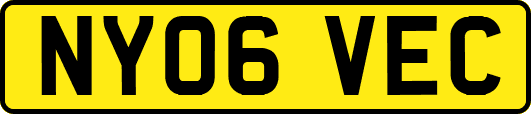 NY06VEC