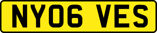 NY06VES