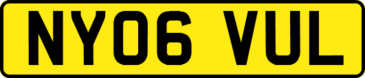 NY06VUL