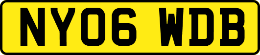 NY06WDB