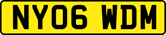 NY06WDM
