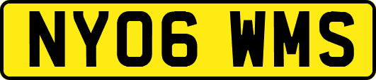 NY06WMS