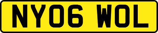 NY06WOL
