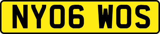 NY06WOS