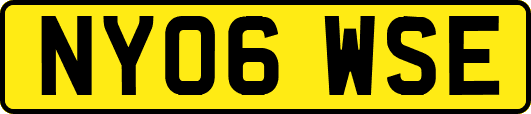 NY06WSE